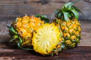 Ananas Kaninchen